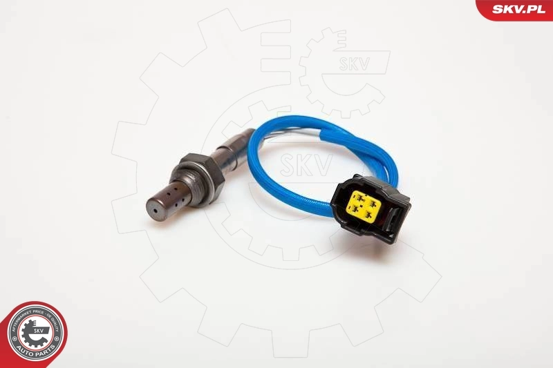 Oxygen Sensor